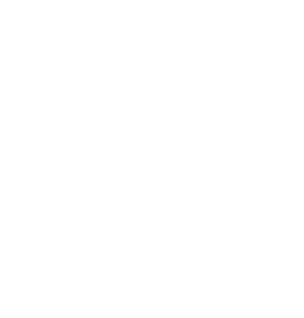 Instituto de Constelaciones Familiares Costa Rica